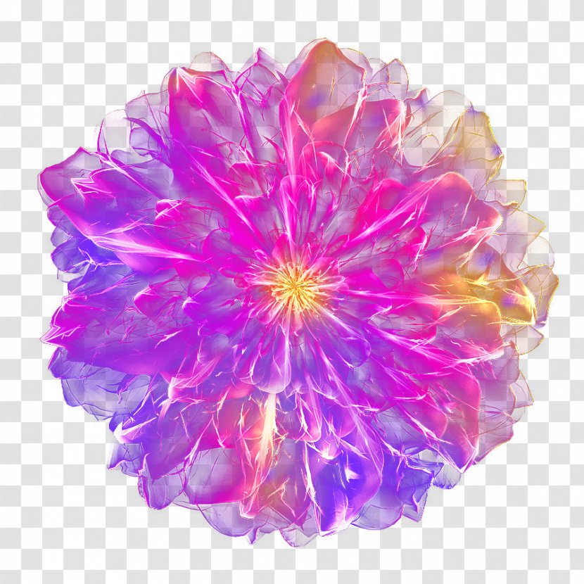 Purple Flower - Magenta - Dream Top View Transparent PNG
