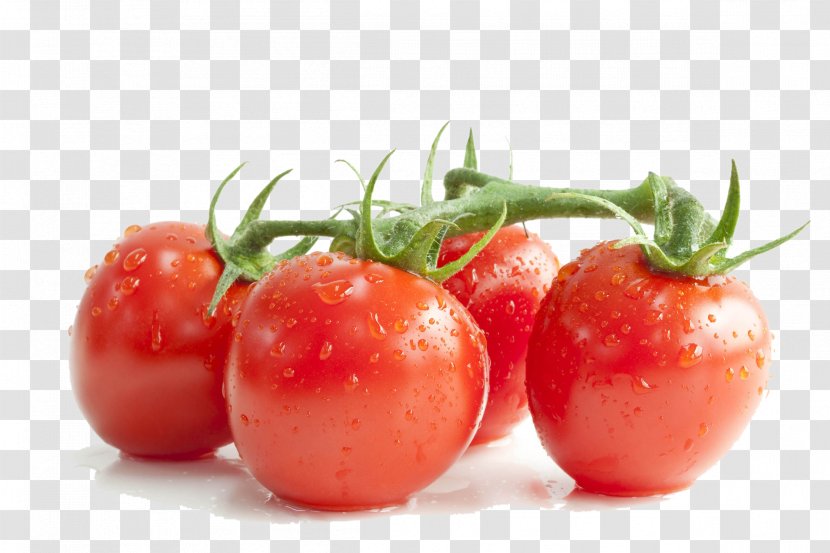Cherry Tomato Soup Lycopene Extract Damiana - Diet Food - Small Tomatoes In The Water Transparent PNG