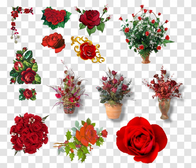 Cut Flowers Photomontage Photography - Flora - BORDAS Transparent PNG