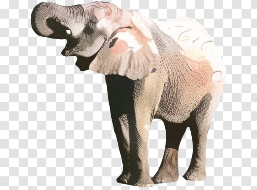 African Bush Elephant Image Forest Transparent PNG