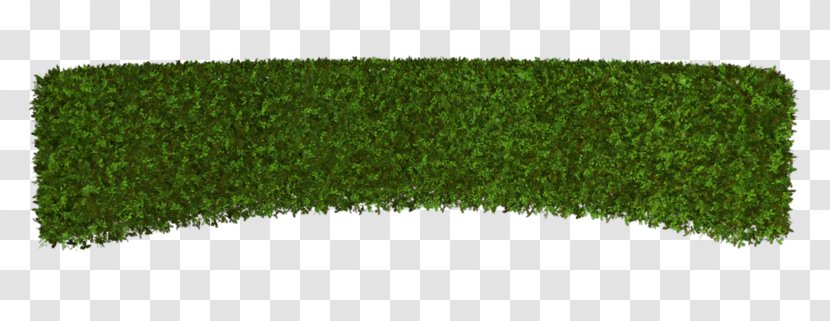 Hedge Lawn Artificial Turf Rectangle - Green Grass Transparent PNG