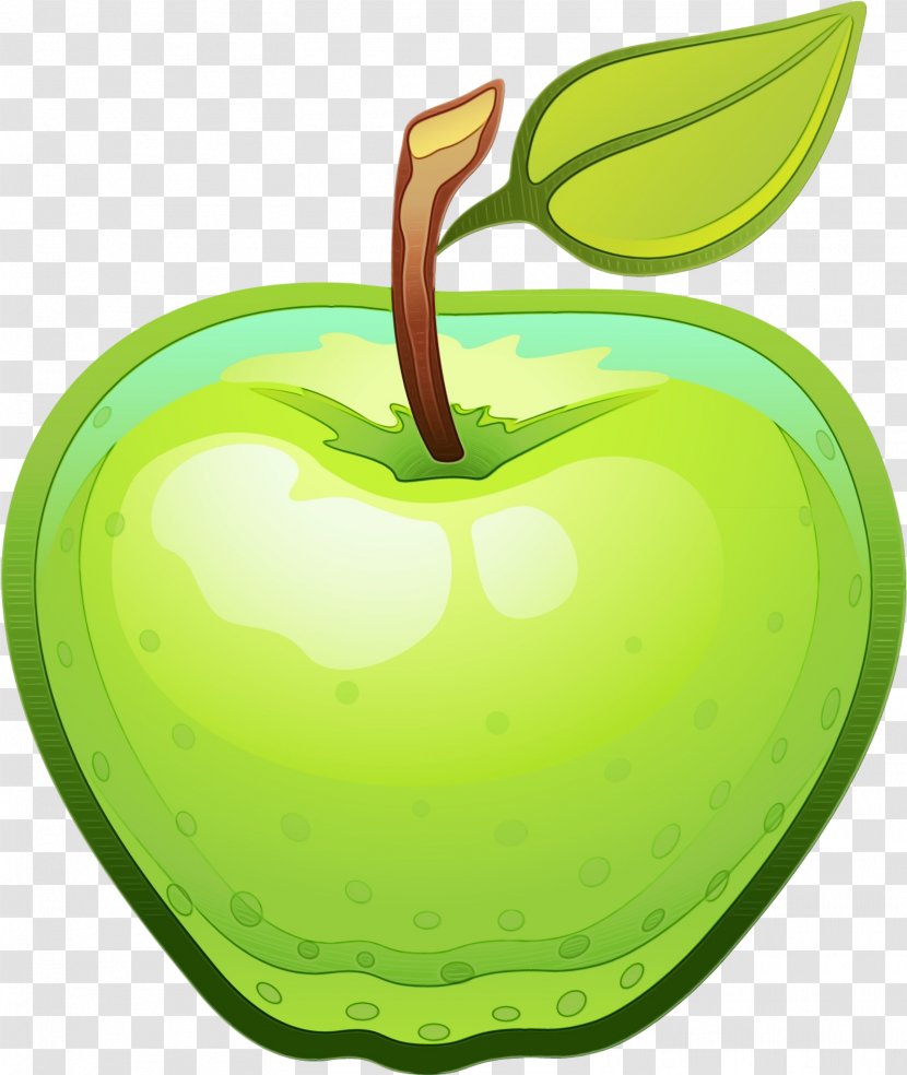 Apple Tree Drawing - Malus - Seedless Fruit Accessory Transparent PNG