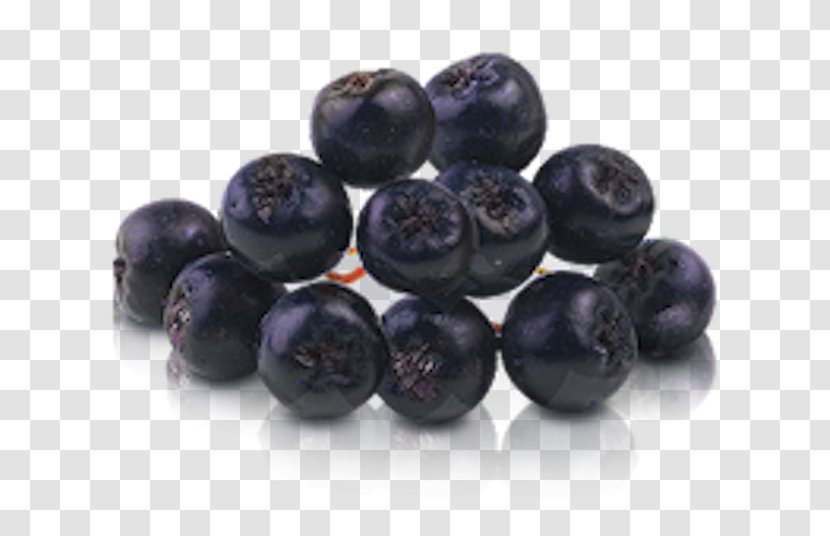 Blueberry Bilberry Huckleberry Aronia Melanocarpa - Frutti Di Bosco Transparent PNG