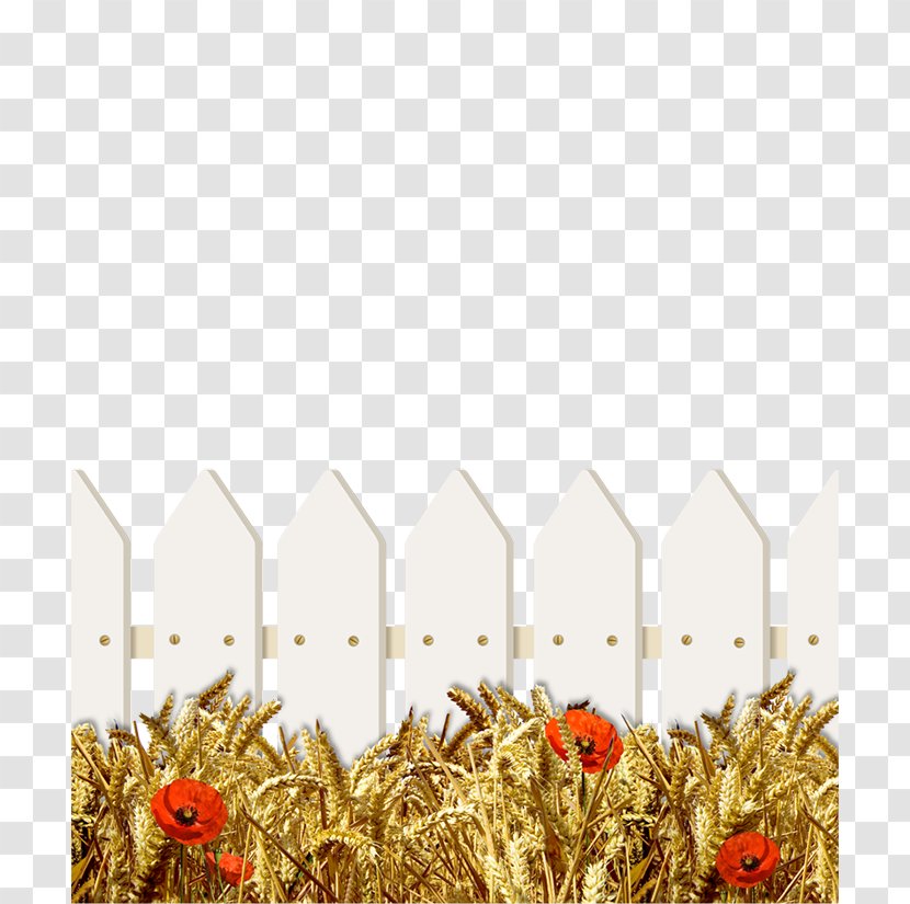 Grasses Wheat Fence Ear Poppy Transparent PNG