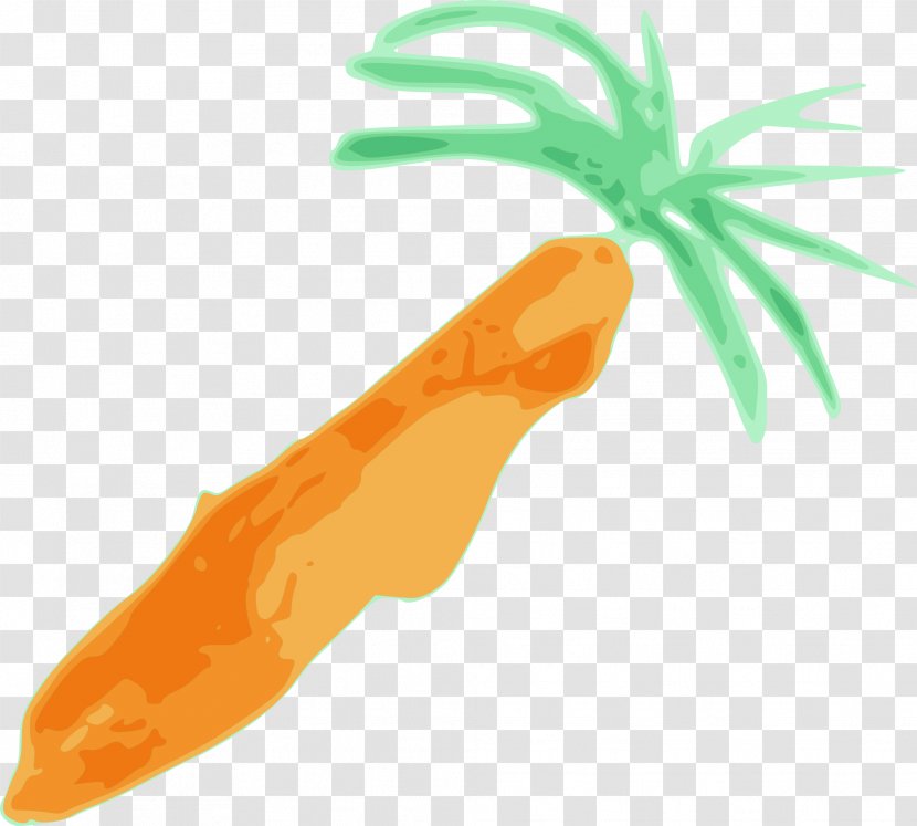 Carrot Blog Clip Art - Vegetable Transparent PNG