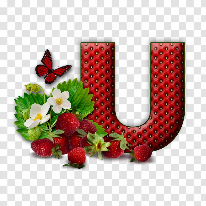 Letter Alphabet Flower M U - D Transparent PNG