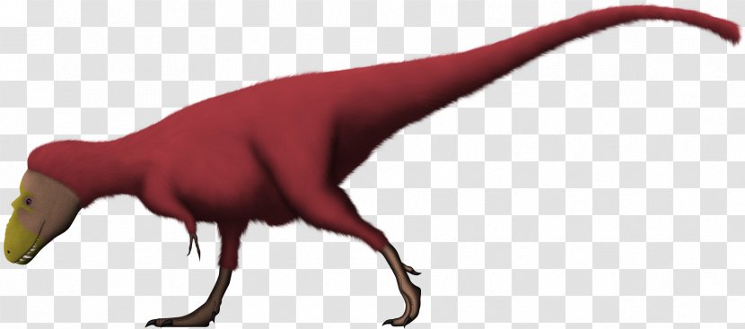 Lythronax Late Cretaceous Campanian Dinosaur Feather - Spinosaurus - Organism Transparent PNG
