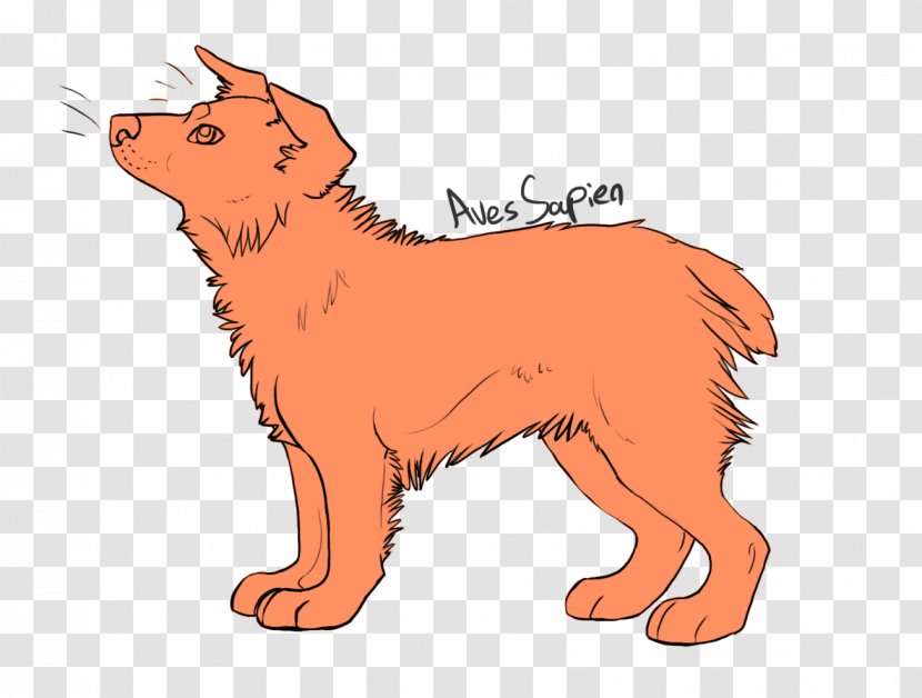 Dog Breed Finnish Spitz Puppy Red Fox Whiskers Transparent PNG
