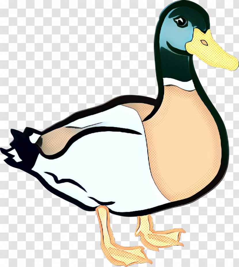 Donald Duck Clip Art Vector Graphics American Pekin - Livestock - Ducks Geese And Swans Transparent PNG