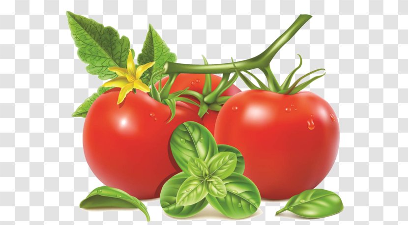 Tomato - Natural Foods - Plum Cherry Tomatoes Transparent PNG