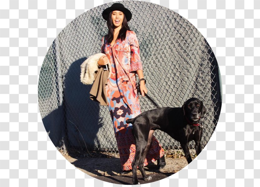Dog Outerwear Jacket Sleeve Canidae - Like Mammal - Rose Leslie Transparent PNG