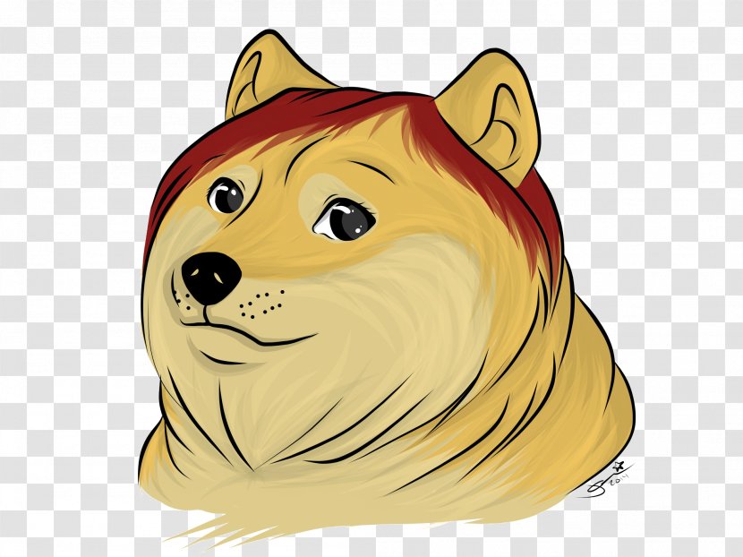 Whiskers Dog Cat Bear - Small To Medium Sized Cats Transparent PNG