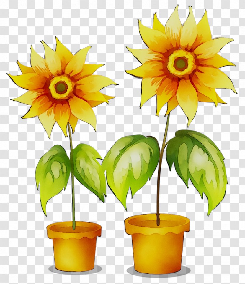 New Saraswati House (India) Pvt. Ltd. Delhi Train Floristry Sunflower - Yellow - India Transparent PNG