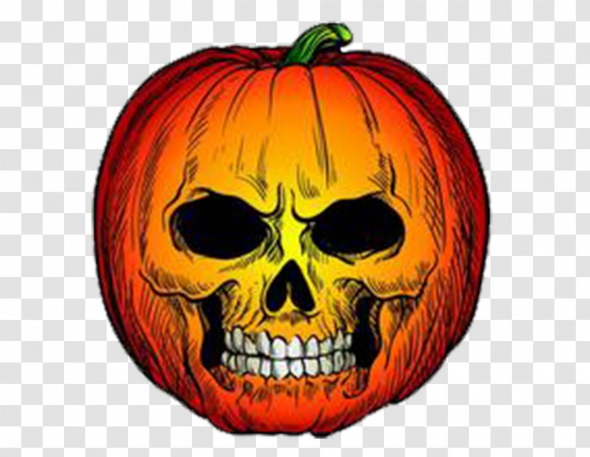Pumpkin Halloween Clip Art - Squash - Skeleton Transparent PNG
