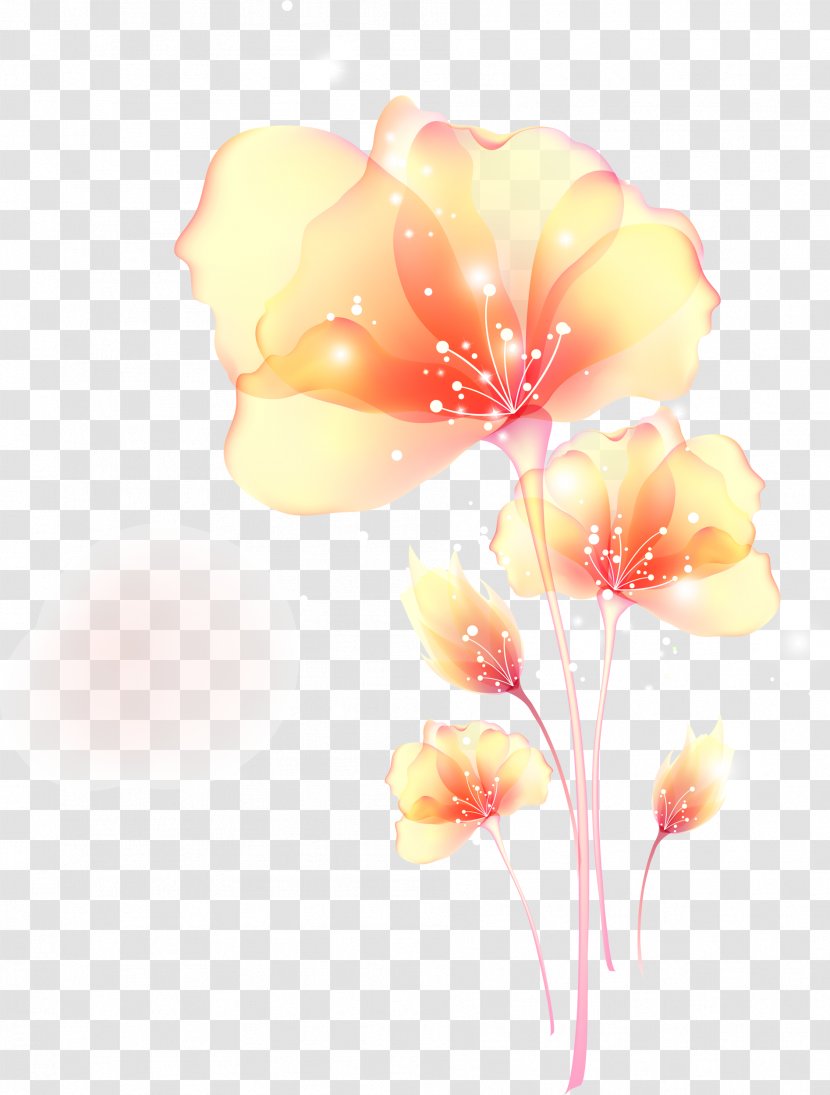 Flower Orange Painting Photography - Plant Stem - Flowers Transparent PNG