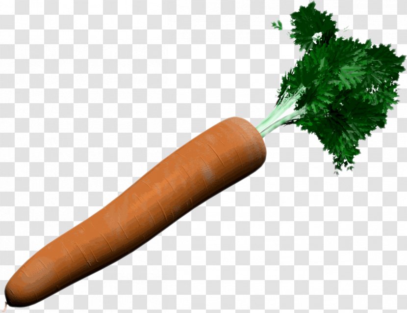 Carrot Vegetable Knackwurst - Food - Carotte Transparent PNG