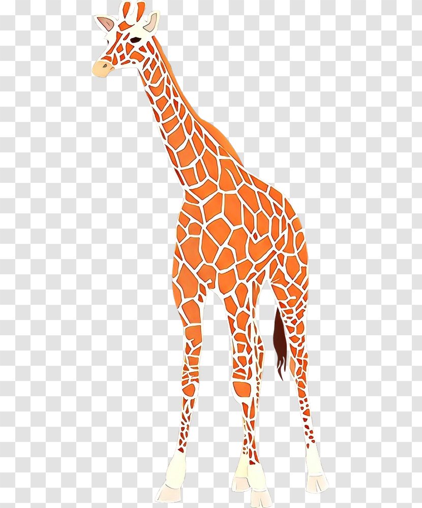 Clip Art Baby Giraffes Vector Graphics Drawing - Giraffe - Animal Figure Transparent PNG