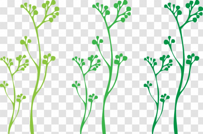 Plant Stem Clip Art - Leaf Vegetable - Vine Transparent PNG