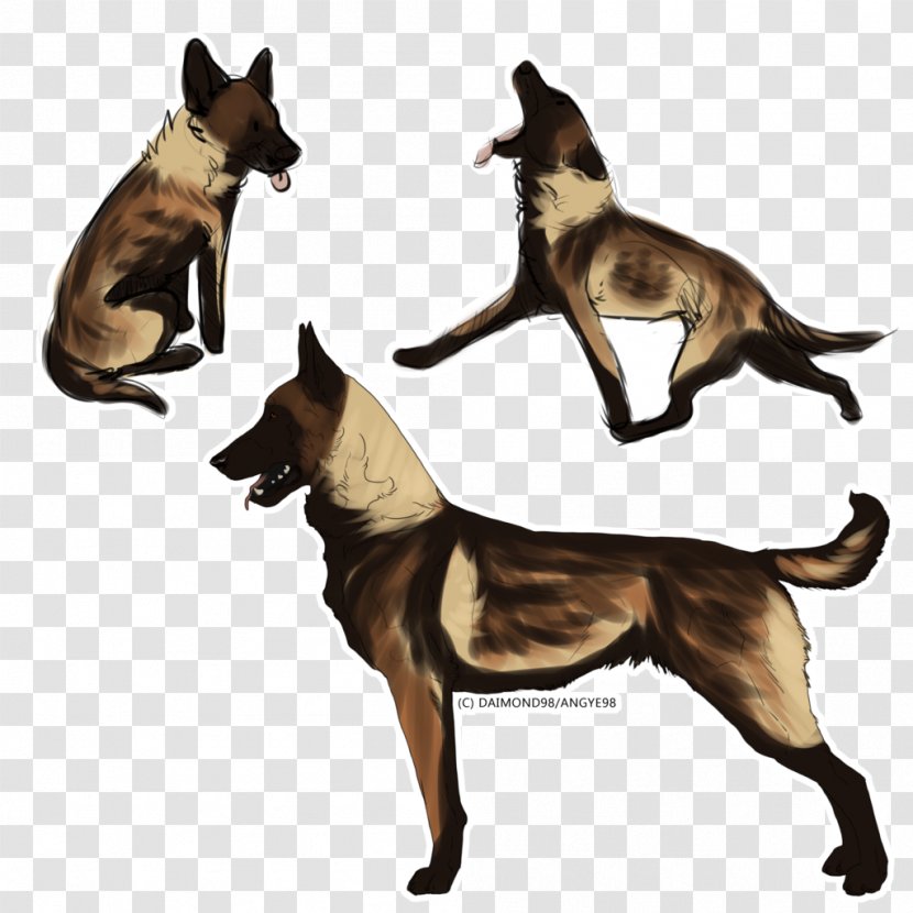 Dog Breed Cat Tail - Like Mammal Transparent PNG
