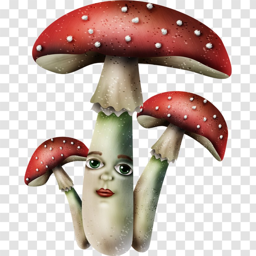 Fruit - Abalone Mushrooms Transparent PNG