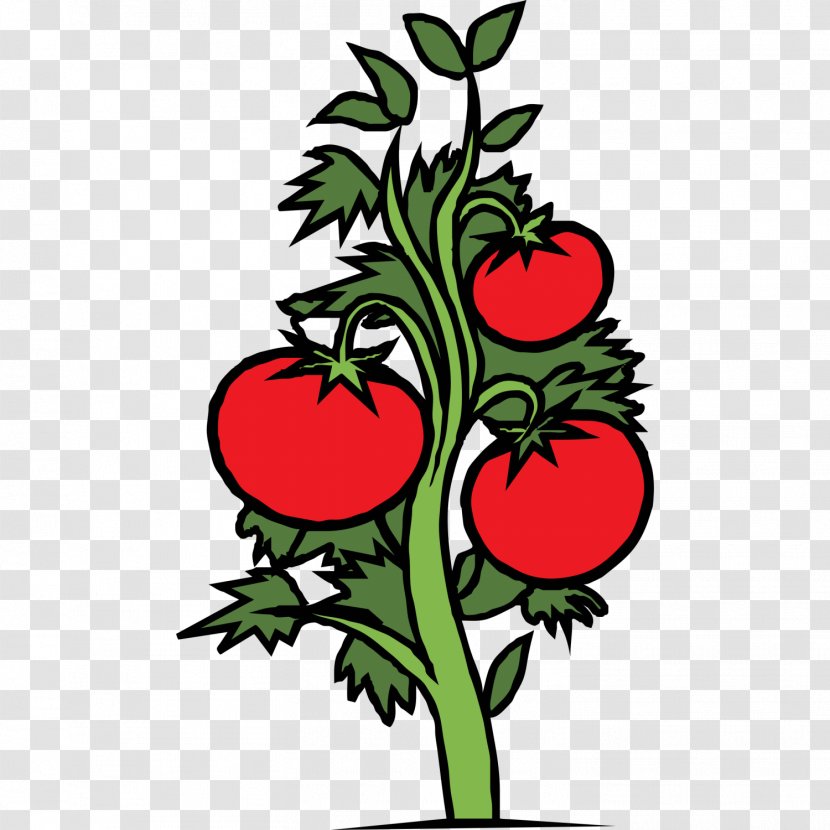 Cherry Tomato Plant Vegetable Clip Art - Cut Flowers Transparent PNG