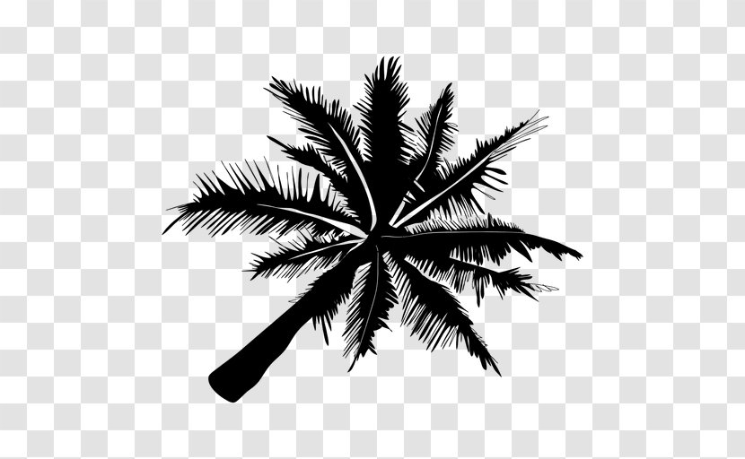 Silhouette - Tree - Palm Vector Transparent PNG