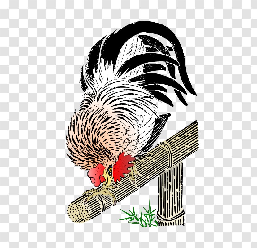 Rooster Chicken T-shirt Clip Art - Bird Transparent PNG