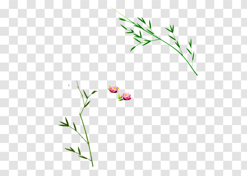 Floral Design Petal Pattern - Point - Bamboo Transparent PNG