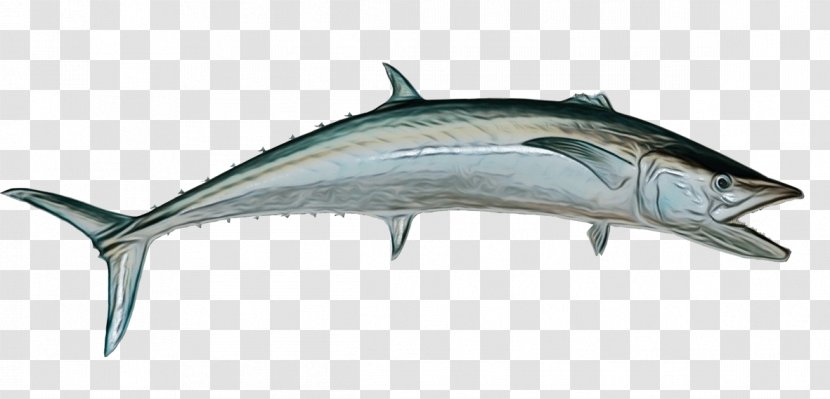 Fish Fin Bony-fish - Paint - Bonyfish Transparent PNG