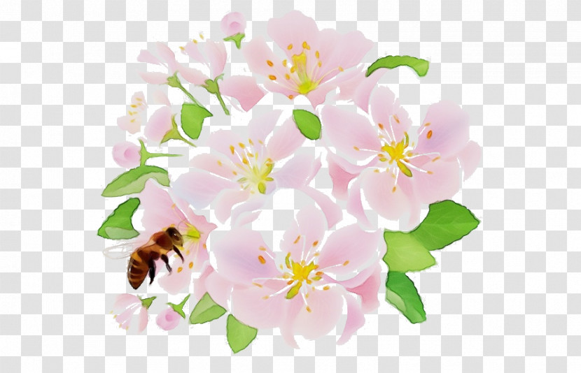 Cherry Blossom Transparent PNG