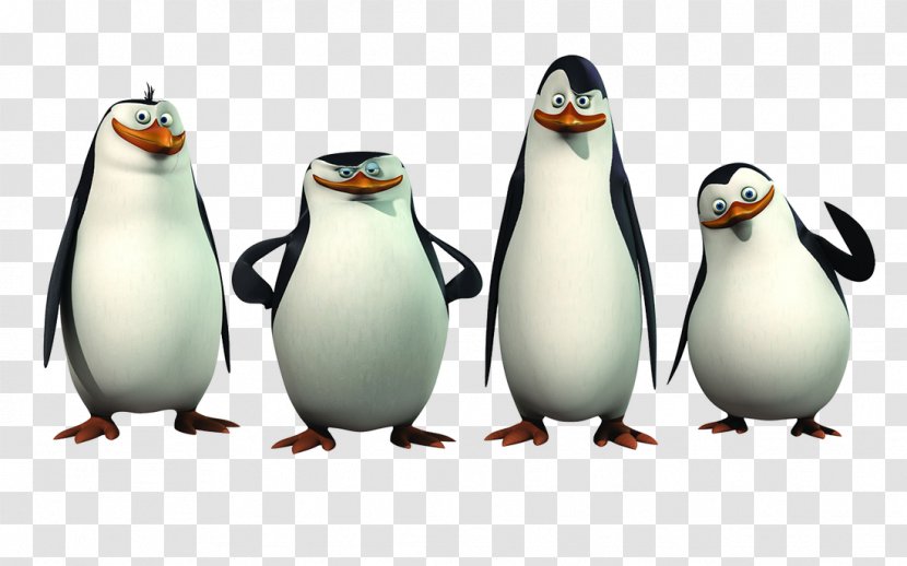 Kowalski Skipper Madagascar Animation Film Transparent PNG