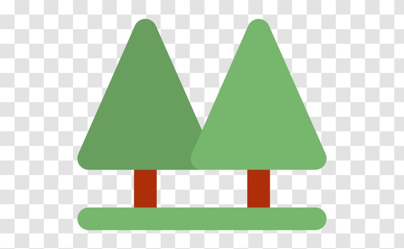 Pine Botany Tree - Forest Transparent PNG