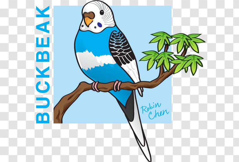 Artist Macaw DeviantArt Feather - Beak - Hedwig Drawing Transparent PNG