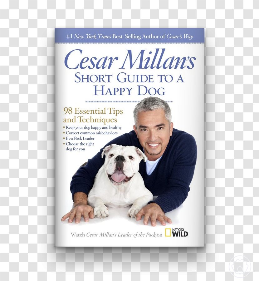 Dog Whisperer With Cesar Millan Millan's Lessons From The Pack: Stories Of Dogs Who Changed My Life Cesar's Way Be Pack Leader - Book Transparent PNG