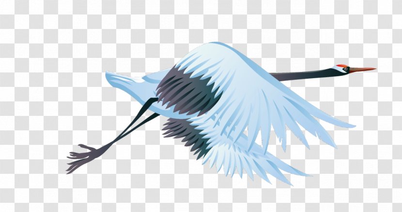 Crane Vector Graphics Illustration Image Bird - Feather Transparent PNG
