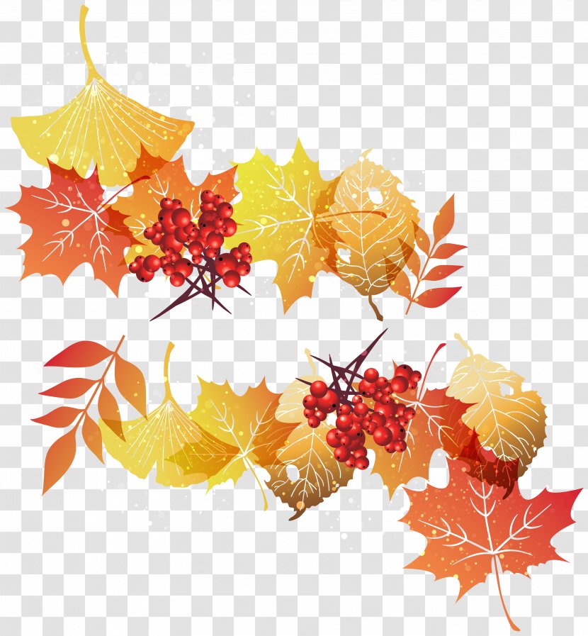 Leaf Graphics Clip Art - Autumn Color - Leaves Decoration Image Transparent PNG