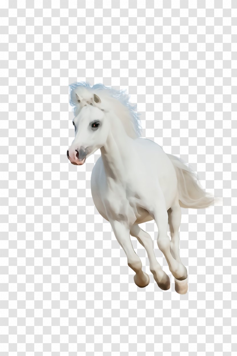 Unicorn - White - Mustang Horse Mythical Creature Transparent PNG