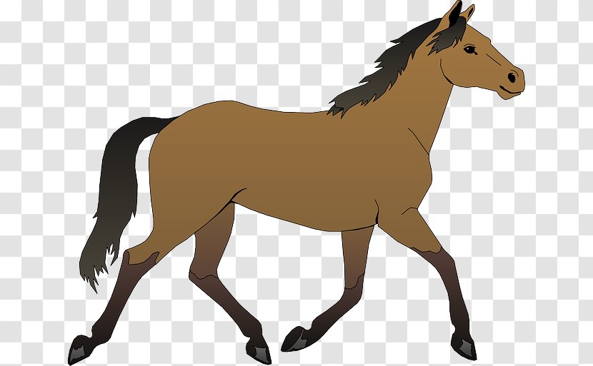 Horse Pony Foal Clip Art - Supplies Transparent PNG