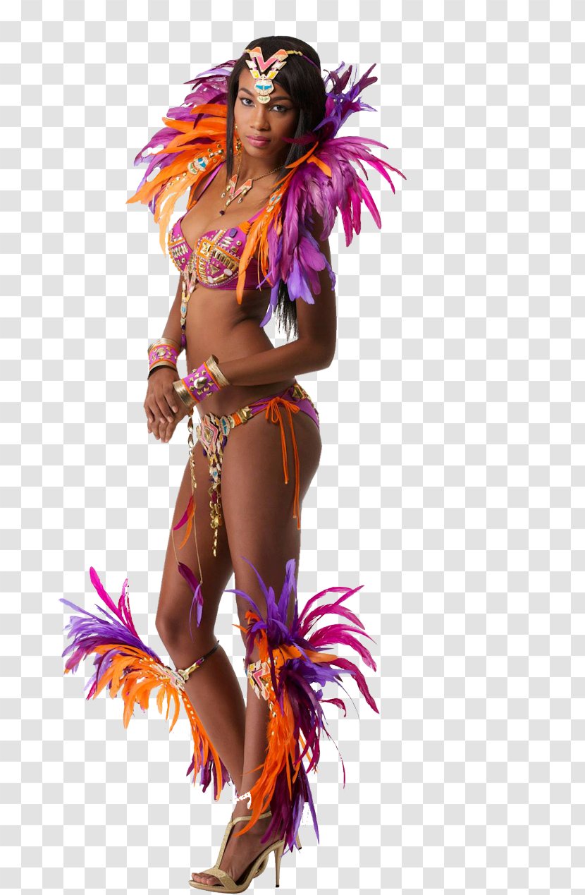 Carnival In Rio De Janeiro Costume Woman Transparent PNG
