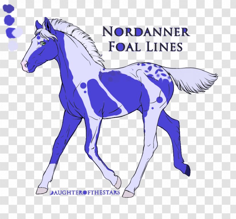 Mane Mustang Foal Colt Stallion - Horse Supplies Transparent PNG