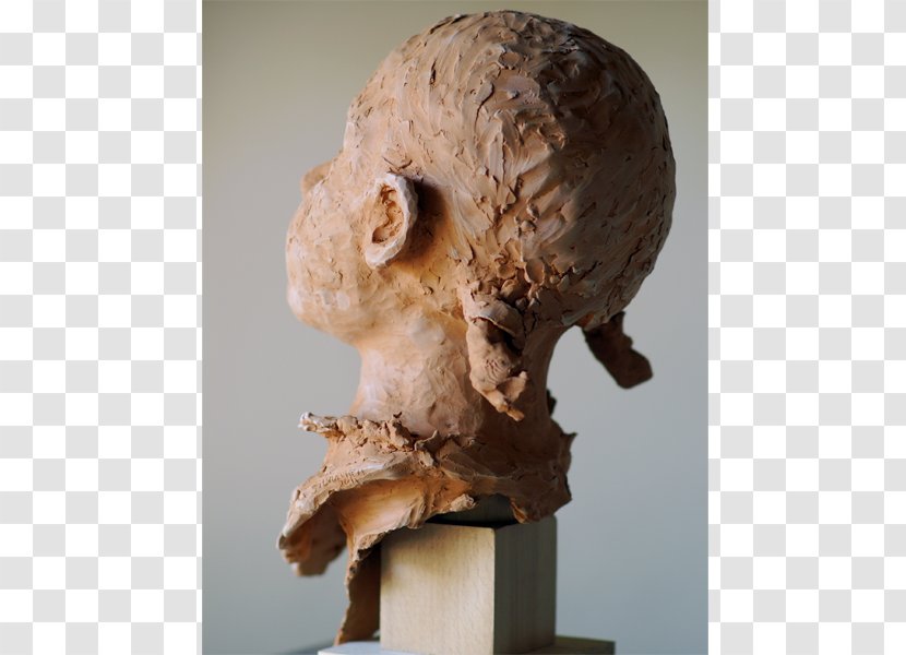 Bust Sculpture Portrait Skull Jaw - Facebook Transparent PNG