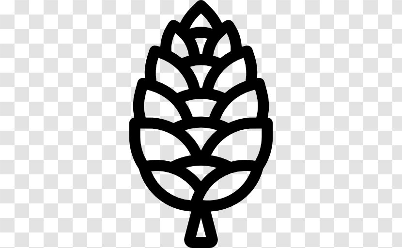 Conifer Cone Pine - Plant - Vector Transparent PNG