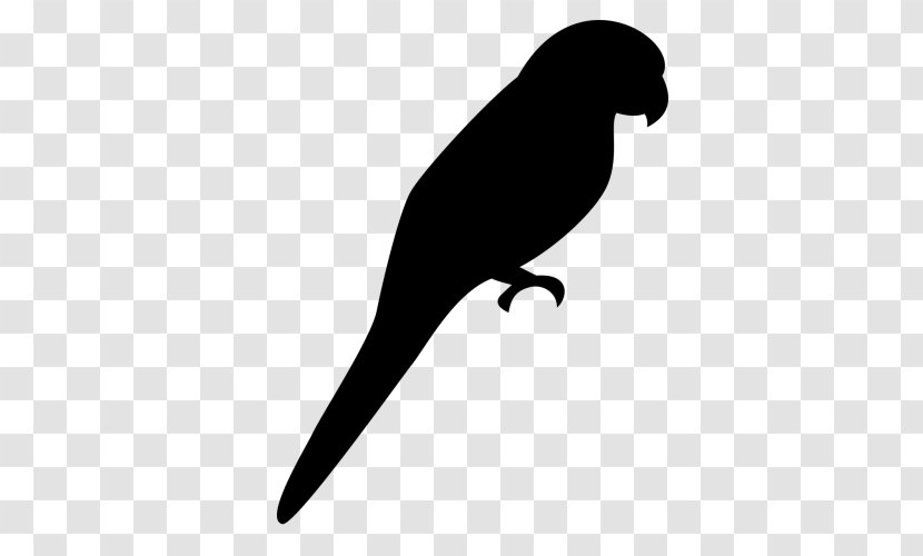 Bird Silhouette - Parrot - Tail Beak Transparent PNG