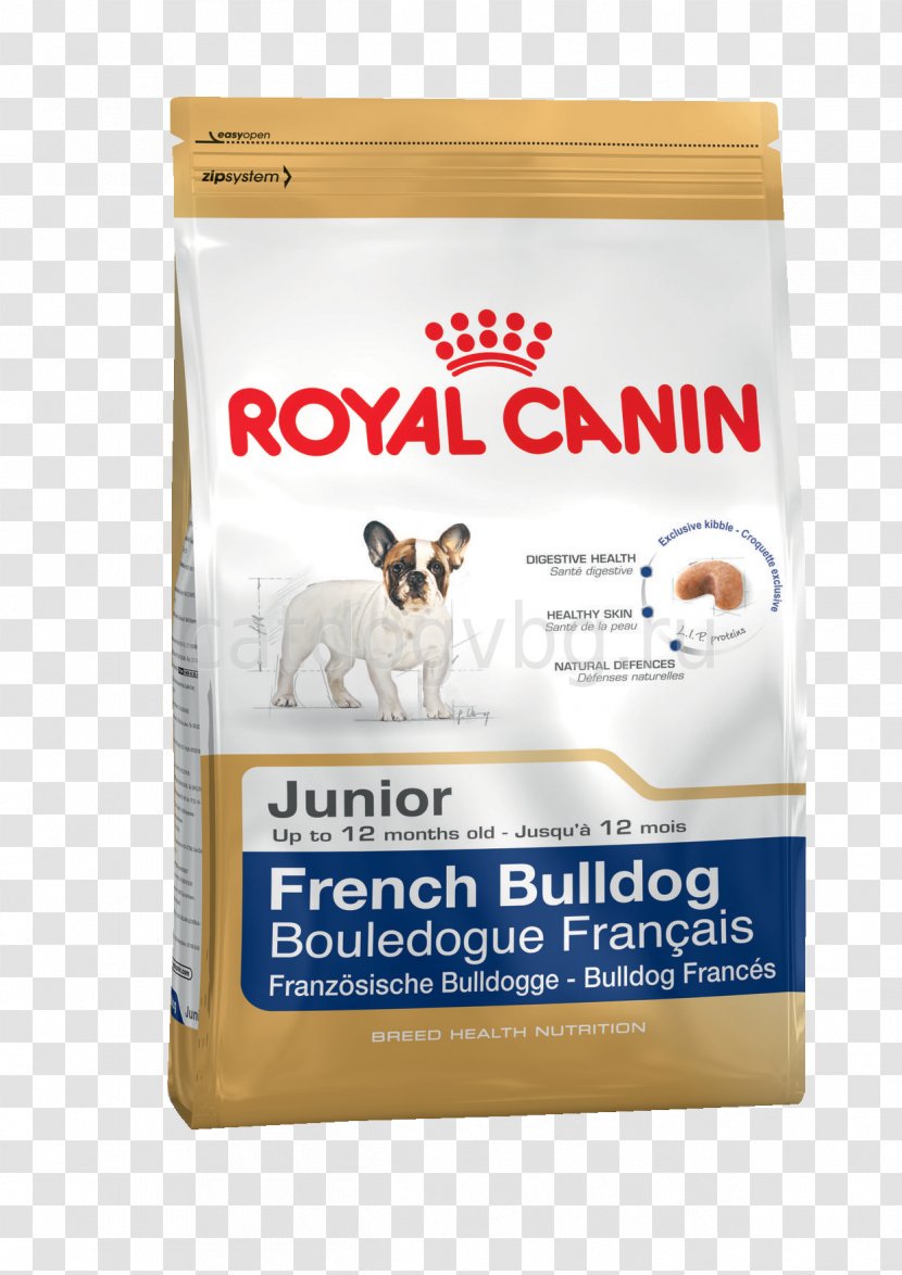 Chihuahua French Bulldog Puppy Royal Canin Transparent PNG