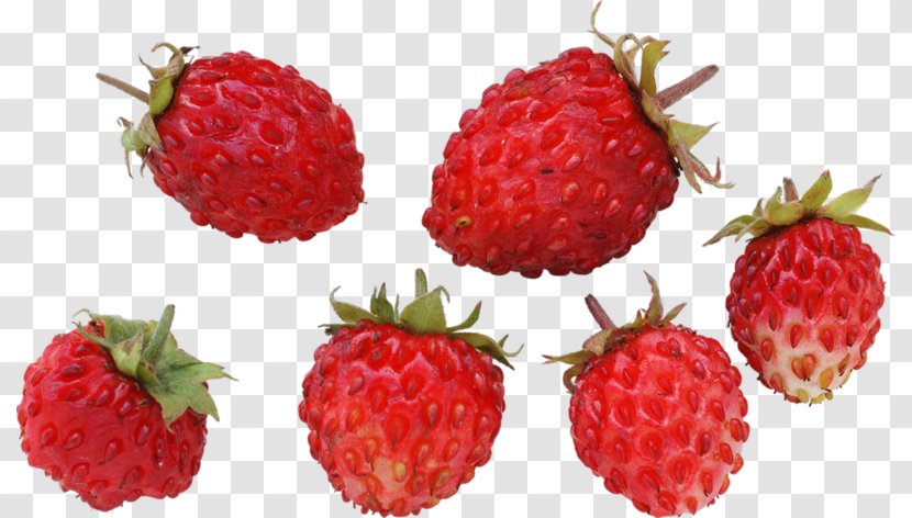 Musk Strawberry Wild - A Lot Of Raspberries Transparent PNG