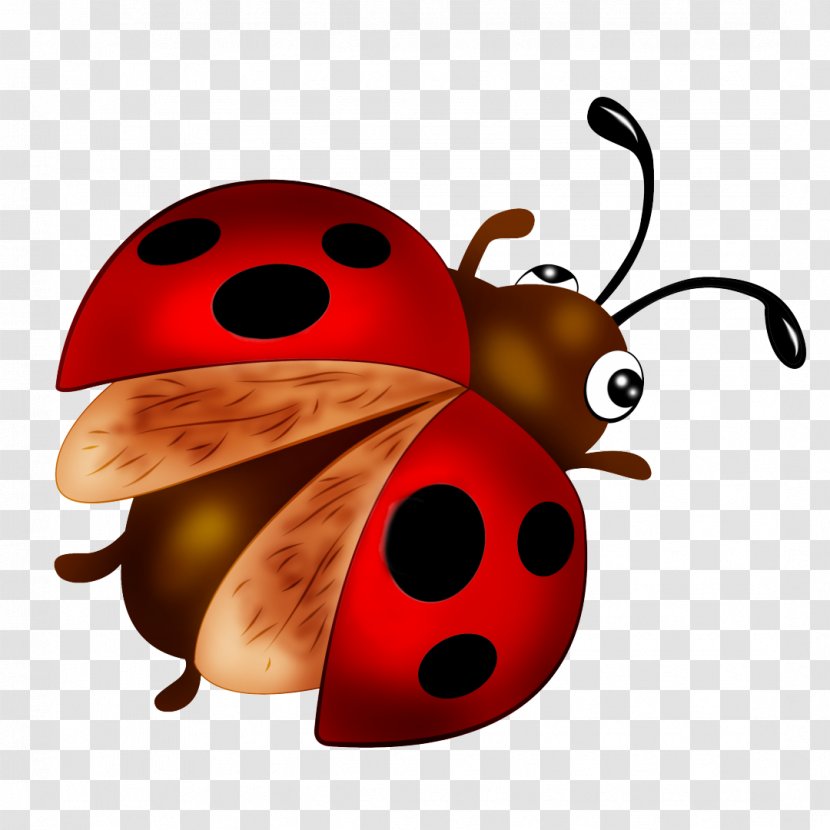 Coccinella Septempunctata Insect Desktop Wallpaper Clip Art - Organism - Bug Transparent PNG