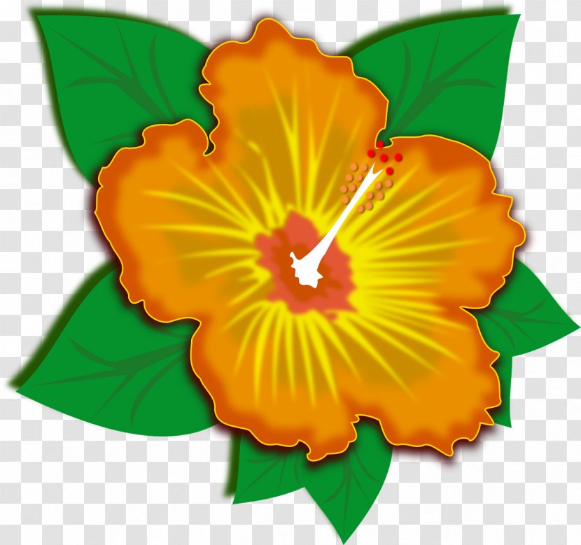 Flower Clip Art Transparent PNG