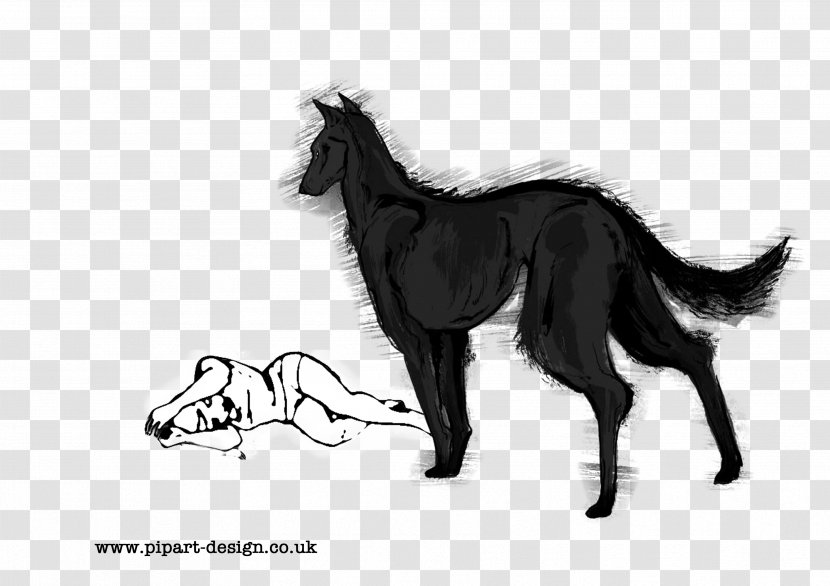 Dog Mustang Pony Foal Stallion - Black And White Transparent PNG