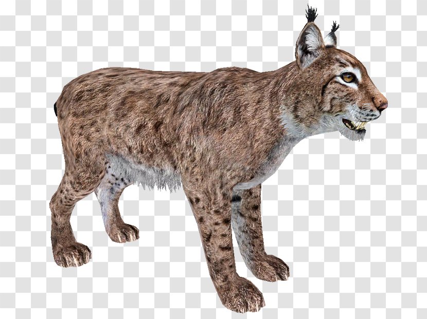 Zoo Tycoon 2 Eurasian Lynx Felidae Canada Bobcat - Fur Transparent PNG