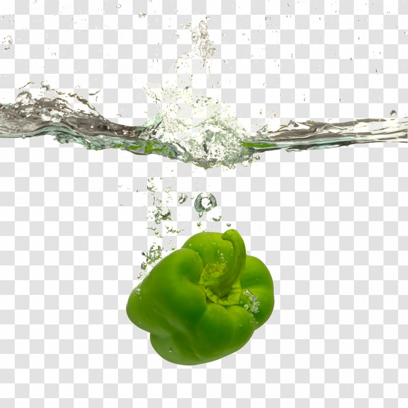 Bell Pepper Water Vegetable Food Recipe - Salad - Green Transparent PNG